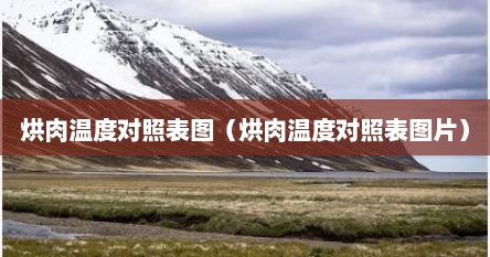 烘肉温度对照表图（烘肉温度对照表图片）