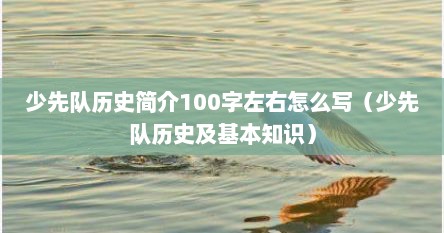 少先队历史简介100字左右怎么写（少先队历史及基本知识）