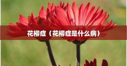 花柳症（花柳症是什么病）