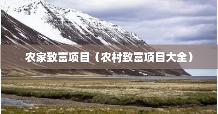 农家致富项目（农村致富项目大全）