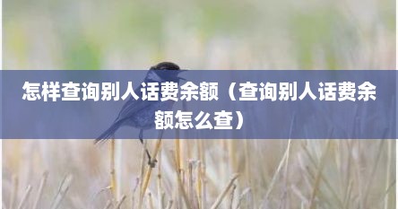 怎样查询别人话费余额（查询别人话费余额怎么查）