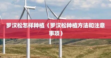 罗汉松怎样种植（罗汉松种植方法和注意事项）
