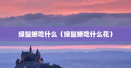 绿鬣蜥吃什么（绿鬣蜥吃什么花）