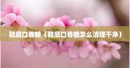 鞋底口香糖（鞋底口香糖怎么清理干净）