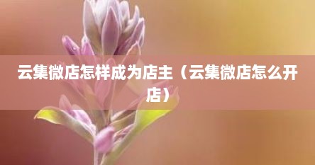 云集微店怎样成为店主（云集微店怎么开店）