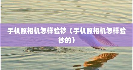 手机照相机怎样验钞（手机照相机怎样验钞的）