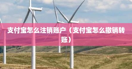 支付宝怎么注销账户（支付宝怎么撤销转账）