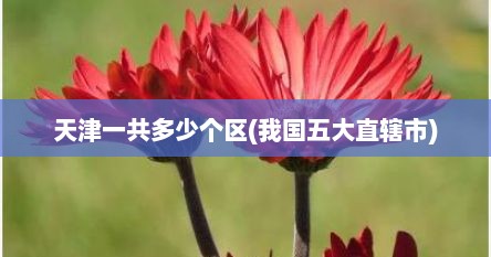 天津一共多少个区(我国五大直辖市)