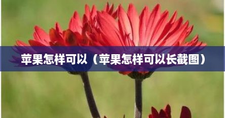 苹果怎样可以（苹果怎样可以长截图）