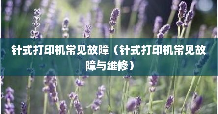 针式打印机常见故障（针式打印机常见故障与维修）