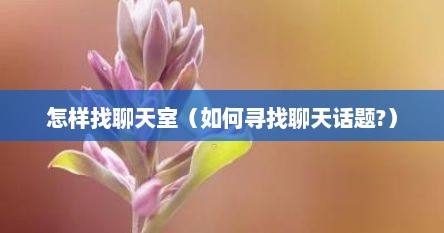 怎样找聊天室（如何寻找聊天话题?）