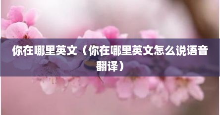 你在哪里英文（你在哪里英文怎么说语音翻译）