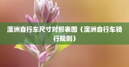 澳洲自行车尺寸对照表图（澳洲自行车骑行规则）