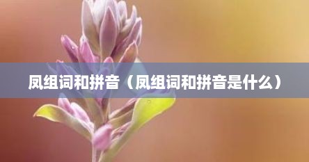 凤组词和拼音（凤组词和拼音是什么）