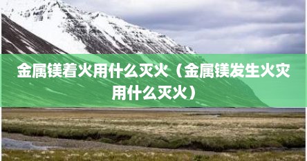 金属镁着火用什么灭火（金属镁发生火灾用什么灭火）