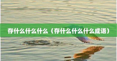 存什么什么什么（存什么什么什么成语）