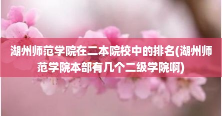 湖州师范学院在二本院校中的排名(湖州师范学院本部有几个二级学院啊)