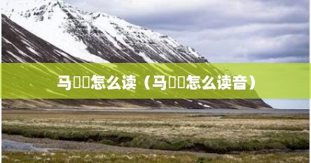马騳骉怎么读（马騳骉怎么读音）