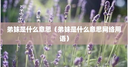 弟妹是什么意思（弟妹是什么意思网络用语）