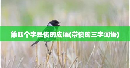 第四个字是俊的成语(带俊的三字词语)