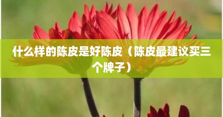 什么样的陈皮是好陈皮（陈皮最建议买三个牌子）