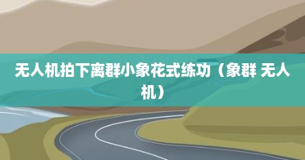 无人机拍下离群小象花式练功（象群 无人机）