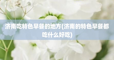 济南吃特色早餐的地方(济南的特色早餐都吃什么好吃)