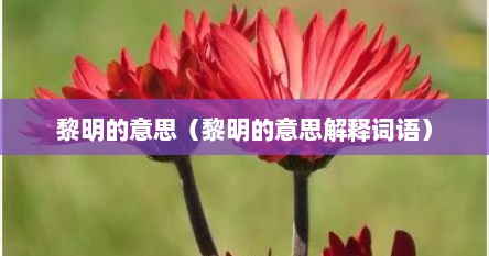 黎明的意思（黎明的意思解释词语）