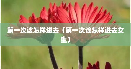 第一次该怎样进去（第一次该怎样进去女生）