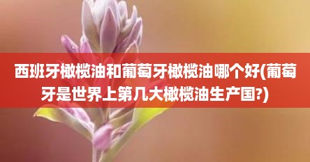 西班牙橄榄油和葡萄牙橄榄油哪个好(葡萄牙是世界上第几大橄榄油生产国?)