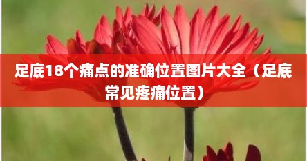 足底18个痛点的准确位置图片大全（足底常见疼痛位置）