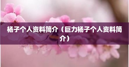 杨子个人资料简介（巨力杨子个人资料简介）