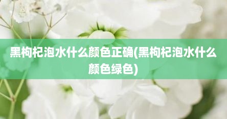 黑枸杞泡水什么颜色正确(黑枸杞泡水什么颜色绿色)