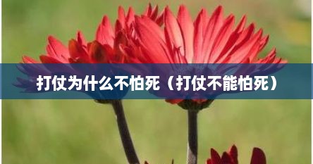 打仗为什么不怕死（打仗不能怕死）