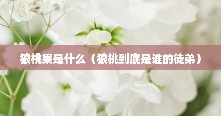 狼桃果是什么（狼桃到底是谁的徒弟）