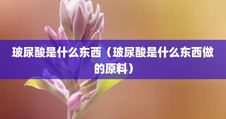 玻尿酸是什么东西（玻尿酸是什么东西做的原料）