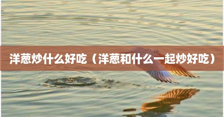 洋葱炒什么好吃（洋葱和什么一起炒好吃）