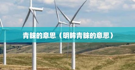 青睐的意思（明眸青睐的意思）