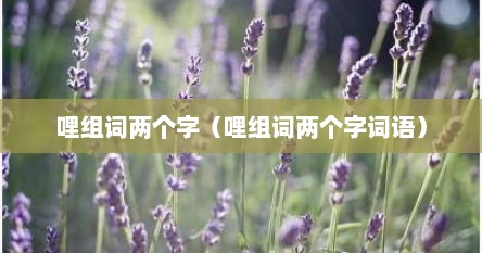 哩组词两个字（哩组词两个字词语）