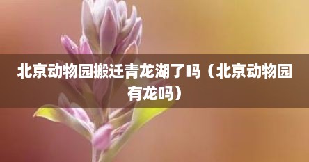 北京动物园搬迁青龙湖了吗（北京动物园有龙吗）