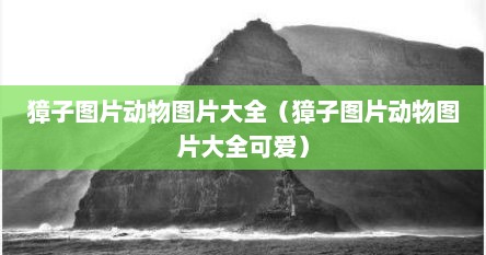 獐子图片动物图片大全（獐子图片动物图片大全可爱）