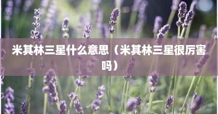 米其林三星什么意思（米其林三星很厉害吗）