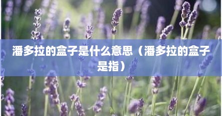 潘多拉的盒子是什么意思（潘多拉的盒子是指）