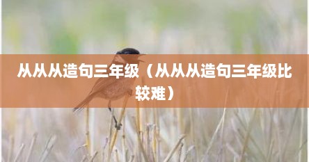 从从从造句三年级（从从从造句三年级比较难）