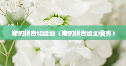 斯的拼音和组词（斯的拼音组词偏旁）
