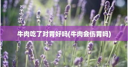 牛肉吃了对胃好吗(牛肉会伤胃吗)