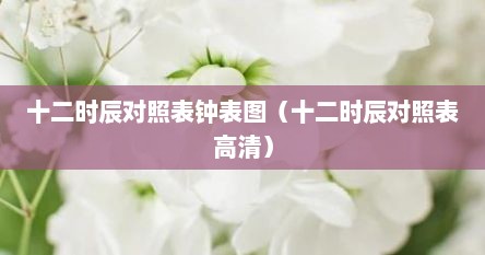 十二时辰对照表钟表图（十二时辰对照表高清）