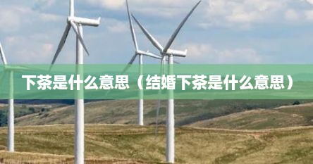 下茶是什么意思（结婚下茶是什么意思）