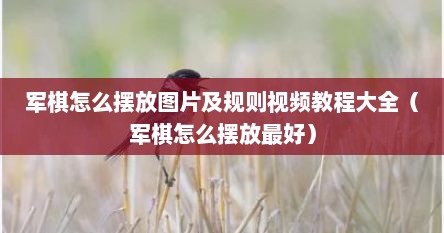 军棋怎么摆放图片及规则视频教程大全（军棋怎么摆放最好）