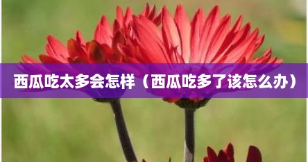 西瓜吃太多会怎样（西瓜吃多了该怎么办）